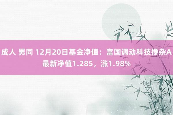 成人 男同 12月20日基金净值：富国调动科技搀杂A最新净值1.285，涨1.98%