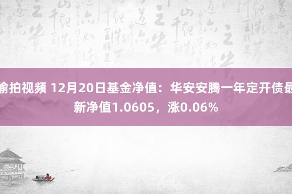 偷拍视频 12月20日基金净值：华安安腾一年定开债最新净值1.0605，涨0.06%