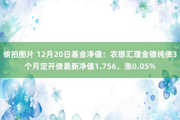 偷拍图片 12月20日基金净值：农银汇理金穗纯债3个月定开债最新净值1.756，涨0.05%