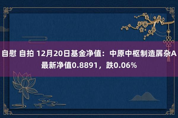 自慰 自拍 12月20日基金净值：中原中枢制造羼杂A最新净值0.8891，跌0.06%