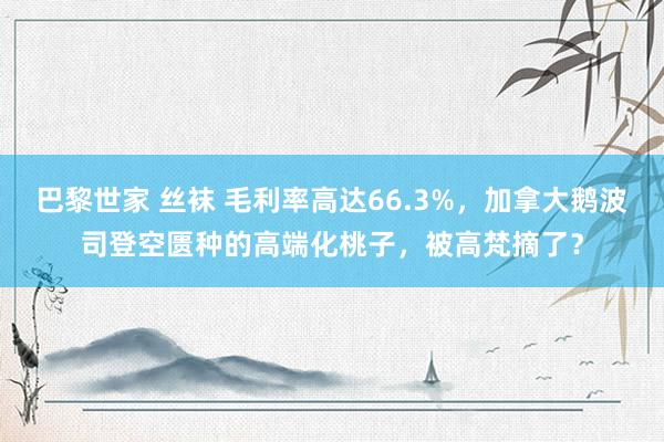 巴黎世家 丝袜 毛利率高达66.3%，加拿大鹅波司登空匮种的高端化桃子，被高梵摘了？