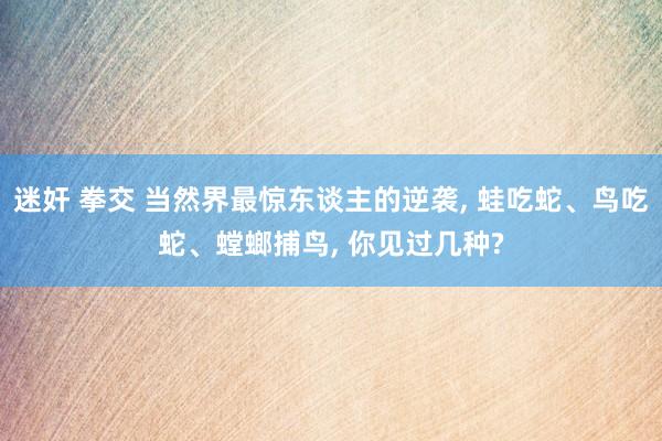 迷奸 拳交 当然界最惊东谈主的逆袭, 蛙吃蛇、鸟吃蛇、螳螂捕鸟, 你见过几种?