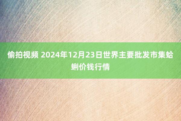 偷拍视频 2024年12月23日世界主要批发市集蛤蜊价钱行情