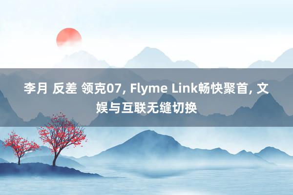 李月 反差 领克07, Flyme Link畅快聚首, 文娱与互联无缝切换