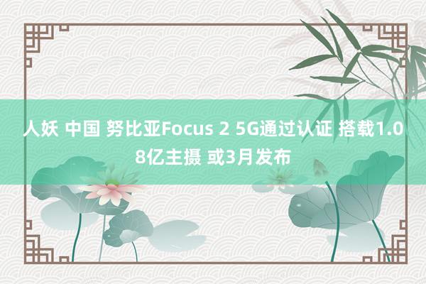 人妖 中国 努比亚Focus 2 5G通过认证 搭载1.08亿主摄 或3月发布