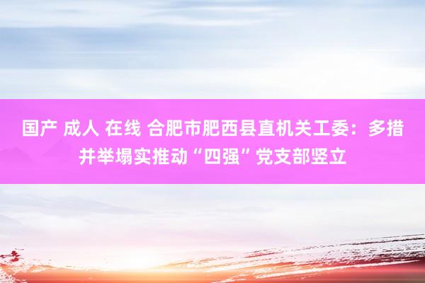 国产 成人 在线 合肥市肥西县直机关工委：多措并举塌实推动“四强”党支部竖立