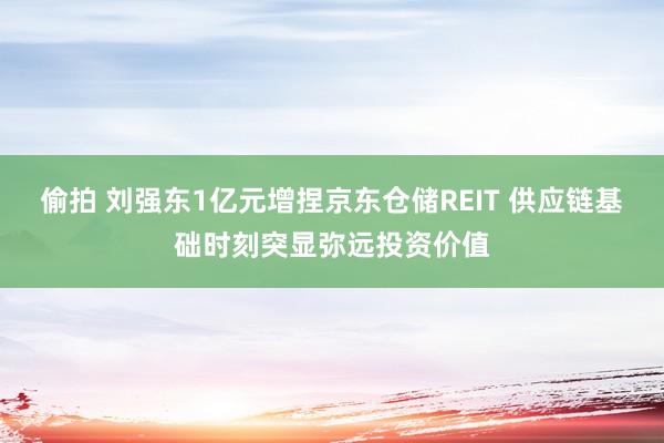 偷拍 刘强东1亿元增捏京东仓储REIT 供应链基础时刻突显弥远投资价值