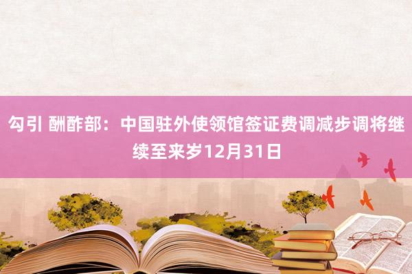 勾引 酬酢部：中国驻外使领馆签证费调减步调将继续至来岁12月31日