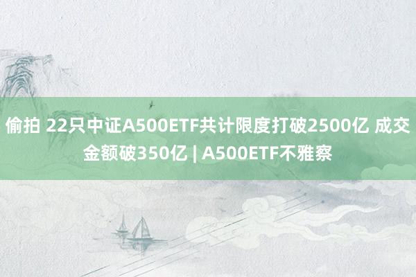 偷拍 22只中证A500ETF共计限度打破2500亿 成交金额破350亿 | A500ETF不雅察