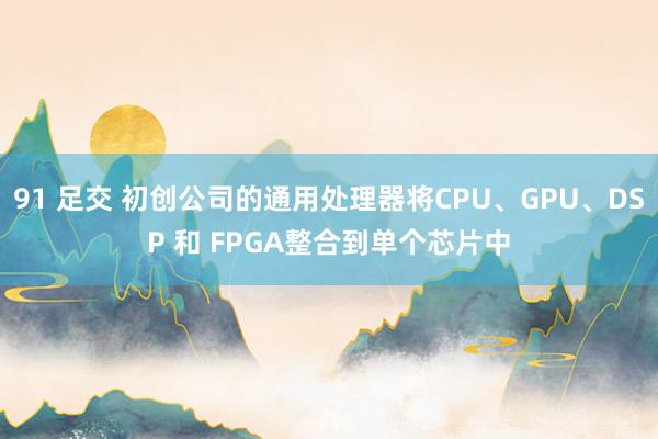 91 足交 初创公司的通用处理器将CPU、GPU、DSP 和 FPGA整合到单个芯片中