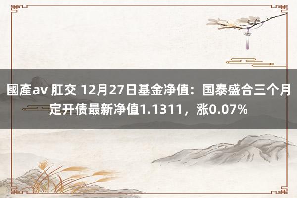 國產av 肛交 12月27日基金净值：国泰盛合三个月定开债最新净值1.1311，涨0.07%