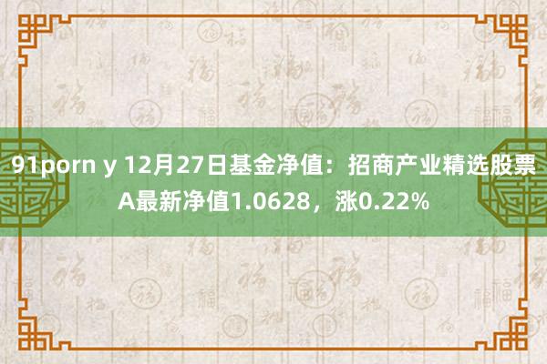 91porn y 12月27日基金净值：招商产业精选股票A最新净值1.0628，涨0.22%