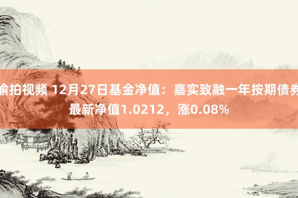 偷拍视频 12月27日基金净值：嘉实致融一年按期债券最新净值1.0212，涨0.08%