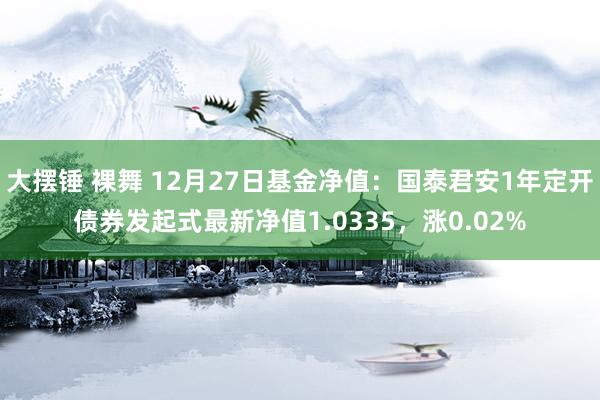 大摆锤 裸舞 12月27日基金净值：国泰君安1年定开债券发起式最新净值1.0335，涨0.02%