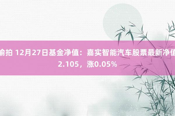 偷拍 12月27日基金净值：嘉实智能汽车股票最新净值2.105，涨0.05%