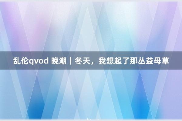 乱伦qvod 晚潮｜冬天，我想起了那丛益母草