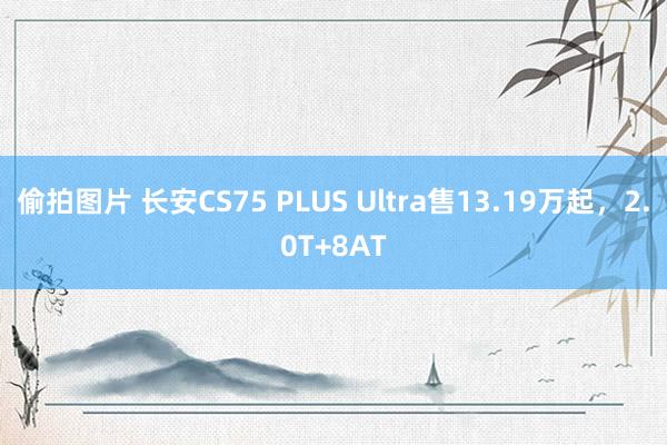 偷拍图片 长安CS75 PLUS Ultra售13.19万起，2.0T+8AT