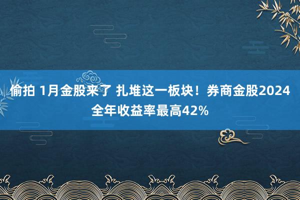 偷拍 1月金股来了 扎堆这一板块！券商金股2024全年收益率最高42%