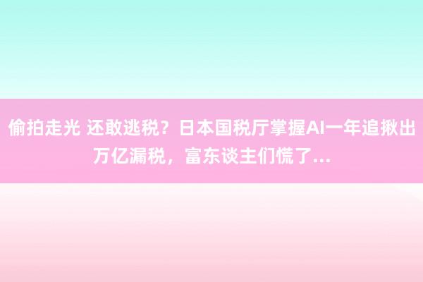 偷拍走光 还敢逃税？日本国税厅掌握AI一年追揪出万亿漏税，富东谈主们慌了...