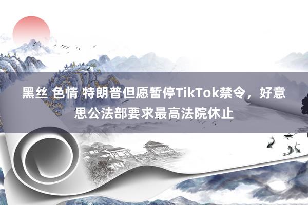 黑丝 色情 特朗普但愿暂停TikTok禁令，好意思公法部要求最高法院休止