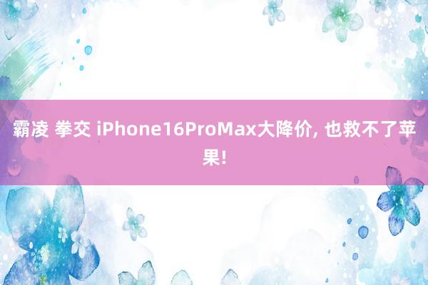 霸凌 拳交 iPhone16ProMax大降价， 也救不了苹果!