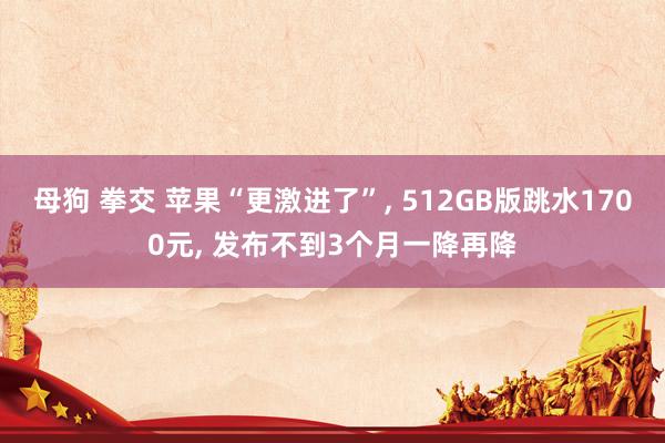 母狗 拳交 苹果“更激进了”， 512GB版跳水1700元， 发布不到3个月一降再降