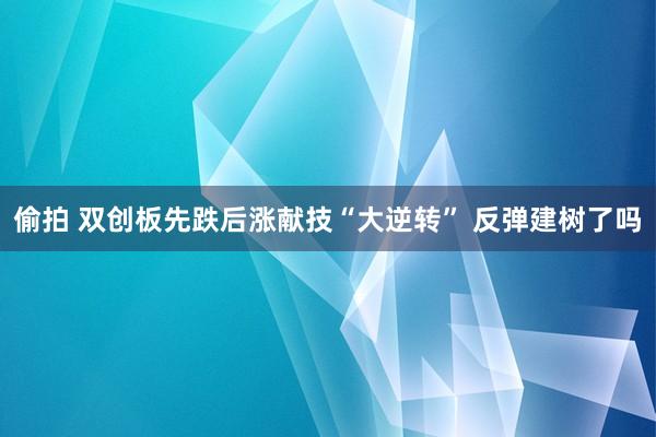 偷拍 双创板先跌后涨献技“大逆转” 反弹建树了吗