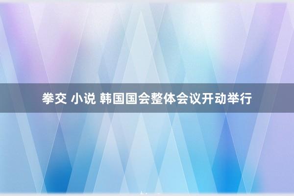 拳交 小说 韩国国会整体会议开动举行