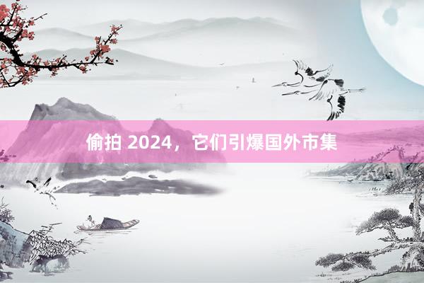 偷拍 2024，它们引爆国外市集