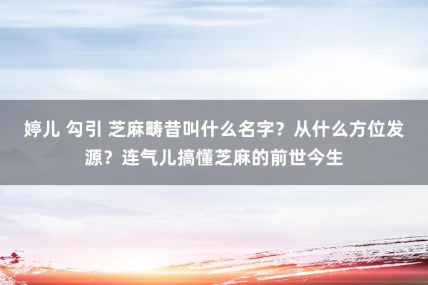 婷儿 勾引 芝麻畴昔叫什么名字？从什么方位发源？连气儿搞懂芝麻的前世今生