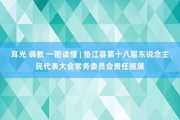 耳光 调教 一图读懂 | 垫江县第十八届东说念主民代表大会常务委员会责任施展