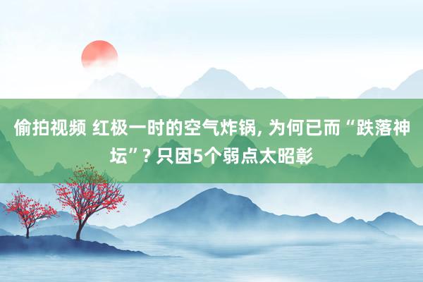 偷拍视频 红极一时的空气炸锅， 为何已而“跌落神坛”? 只因5个弱点太昭彰