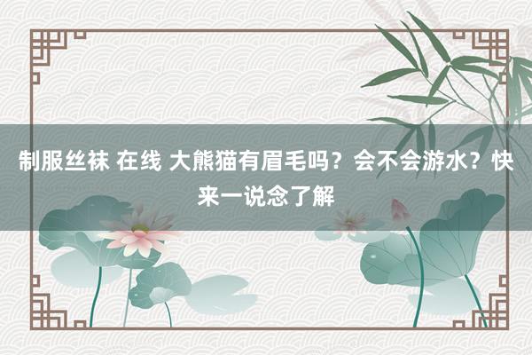 制服丝袜 在线 大熊猫有眉毛吗？会不会游水？快来一说念了解