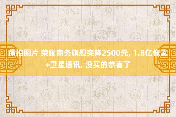 偷拍图片 荣耀商务旗舰突降2500元， 1.8亿像素+卫星通讯， 没买的恭喜了