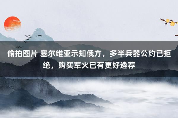 偷拍图片 塞尔维亚示知俄方，多半兵器公约已拒绝，购买军火已有更好遴荐