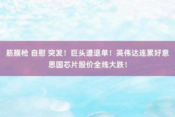 筋膜枪 自慰 突发！巨头遭退单！英伟达连累好意思国芯片股价全线大跌！