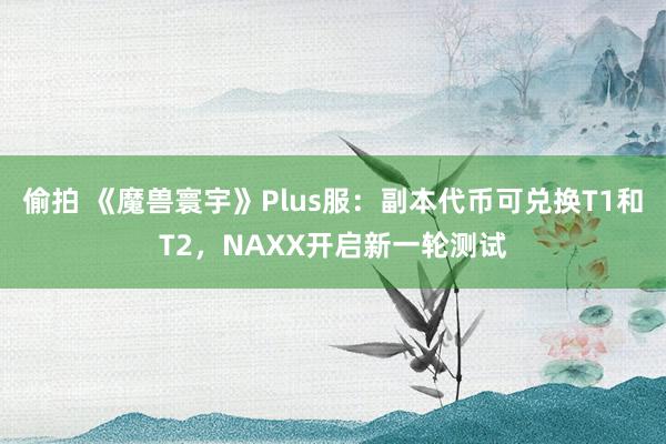 偷拍 《魔兽寰宇》Plus服：副本代币可兑换T1和T2，NAXX开启新一轮测试