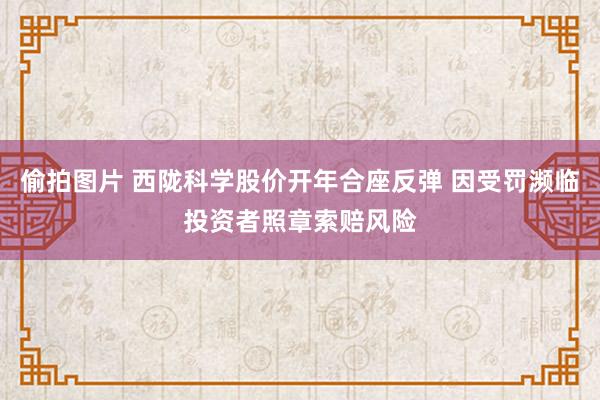 偷拍图片 西陇科学股价开年合座反弹 因受罚濒临投资者照章索赔风险