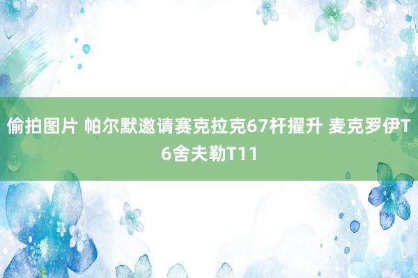 偷拍图片 帕尔默邀请赛克拉克67杆擢升 麦克罗伊T6舍夫勒T11